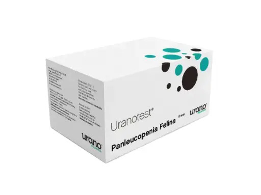 CORTIDONE * 20 ML