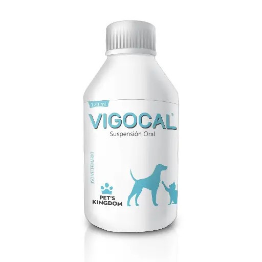 VIGOCAL ORAL * 120 ML