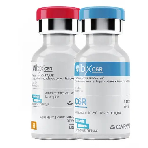 VIBIX C6R * 1 DS (SEXTUPLE)