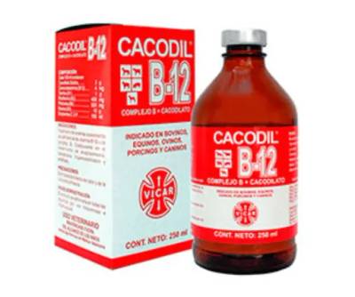 CACODIL B12 * 250 ML