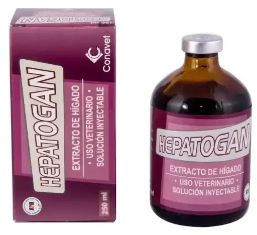 HEPATOGAN FCO * 250 ML
