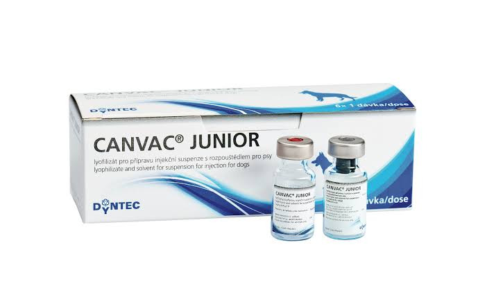 CANINE VAC JUNIOR VIAL * 1 DOSIS